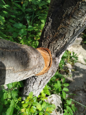 [object Object] undefined