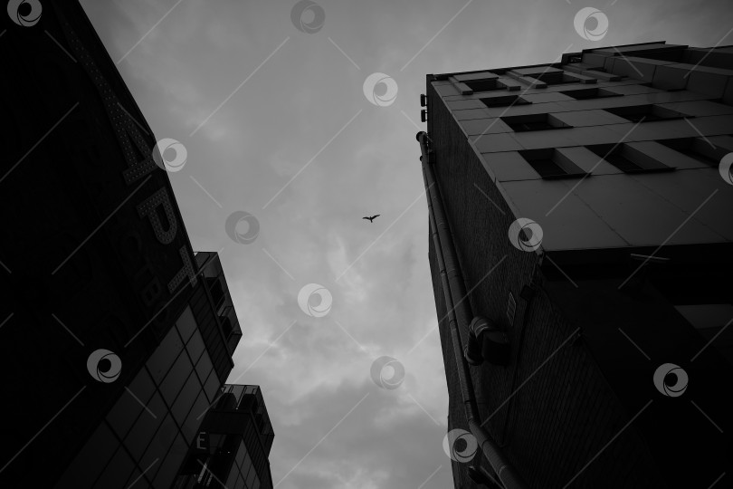 Скачать Сводный полет фотосток Ozero