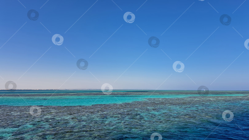 Скачать Яркие бирюзовые воды встречаются с чистым голубым небом на фоне безмятежного прибрежного пейзажа, демонстрируя красоту природы и спокойствие в идиллической обстановке. Красное море. Хургада. Египет фотосток Ozero