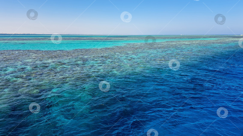 Скачать Яркая бирюзовая океанская вода с виднеющимися под ней коралловыми рифами демонстрирует красоту морской жизни и подводных экосистем в безмятежной обстановке. Красное море. Хургада. Египет фотосток Ozero