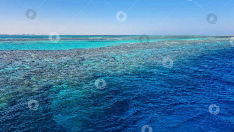 Скачать Яркие бирюзовые воды кораллового рифа простираются до самого горизонта, демонстрируя красоту морской жизни и безмятежность океанских пейзажей. Красное море. Хургада. Египет фотосток Ozero