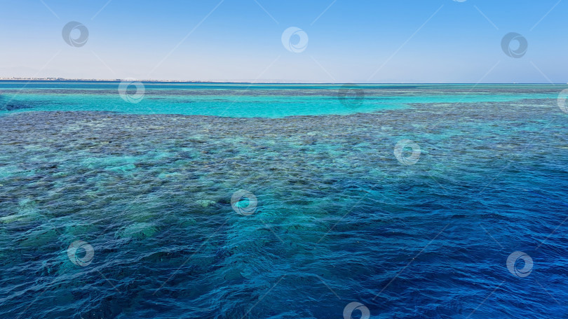 Скачать Яркие бирюзовые воды экосистемы коралловых рифов, демонстрирующие разнообразие морской жизни и подводных текстур в безмятежной прибрежной среде. Красное море. Хургада. Египет фотосток Ozero