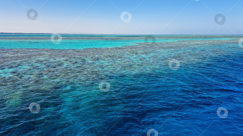 Скачать Яркие подводные пейзажи коралловых рифов, демонстрирующие разнообразие морской флоры и фауны и прозрачные голубые воды, иллюстрируют красоту океанских экосистем и их важность для биоразнообразия. Красное море. Хургада. Египет фотосток Ozero