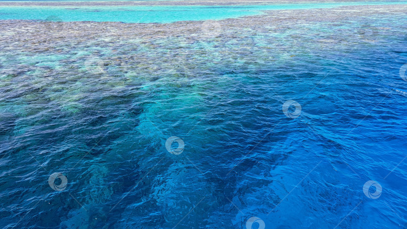Скачать Ярко-голубая океанская вода с виднеющимися под ней коралловыми рифами демонстрирует красоту морской жизни и подводных экосистем. Красное море. Хургада. Египет фотосток Ozero