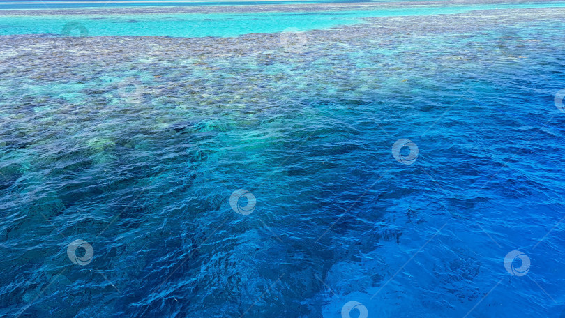 Скачать Яркая бирюзовая океанская вода с виднеющимися под ней коралловыми рифами демонстрирует красоту морской жизни и подводных экосистем. Красное море. Хургада. Египет фотосток Ozero