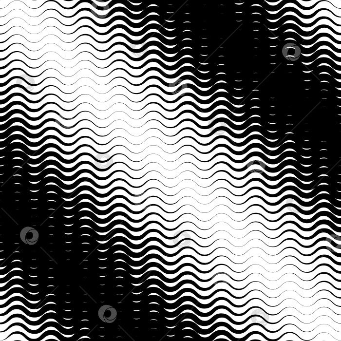 Скачать Фон с градиентом из черных и белых волнистых линий фотосток Ozero