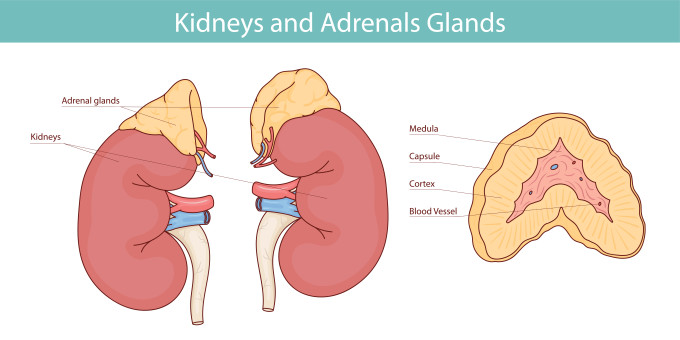 [object Object] undefined