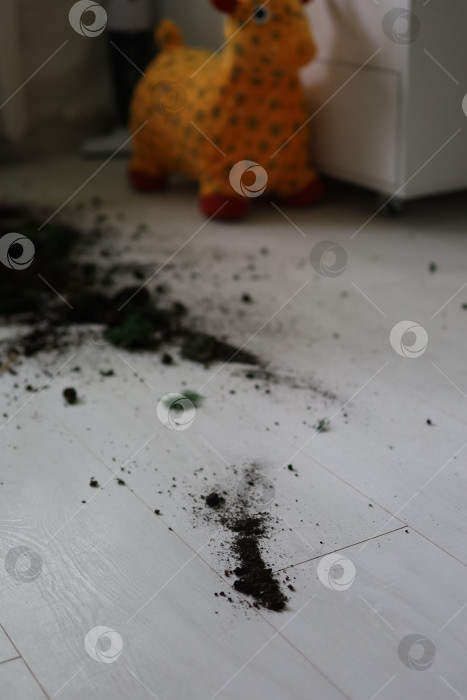 Скачать уборка квартиры с землей, разбросанной по белому паркету фотосток Ozero