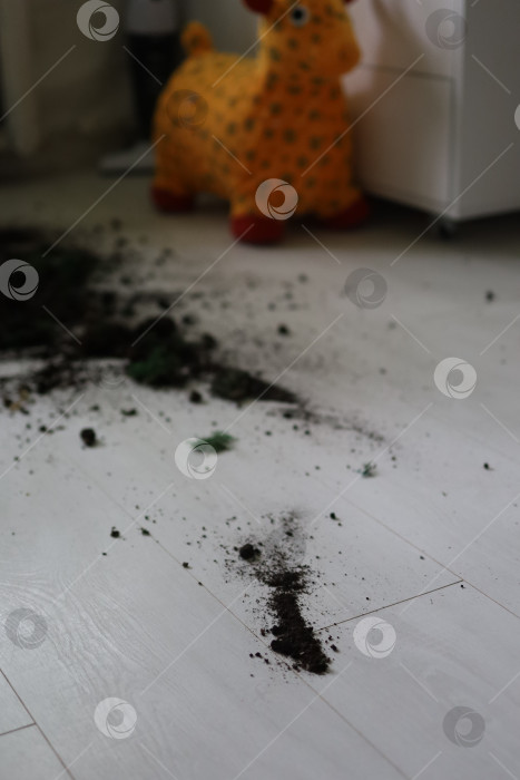 Скачать уборка квартиры с землей, разбросанной по белому паркету фотосток Ozero