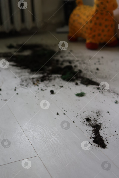 Скачать уборка квартиры с землей, разбросанной по белому паркету фотосток Ozero