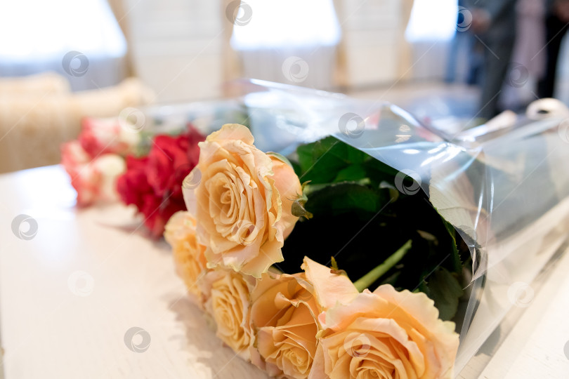 Скачать цветок коралловой розы, цветущий в саду роз на фоне цветов розовых роз. фотосток Ozero