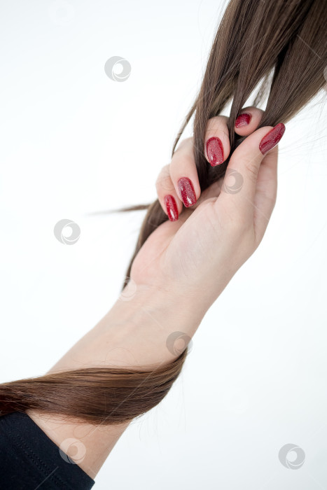 Скачать Человеческая рука, держащая каштановые волосы на белом фоне, крупным планом фотосток Ozero