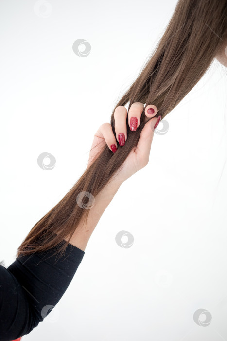 Скачать Человеческая рука, держащая каштановые волосы на белом фоне, крупным планом фотосток Ozero
