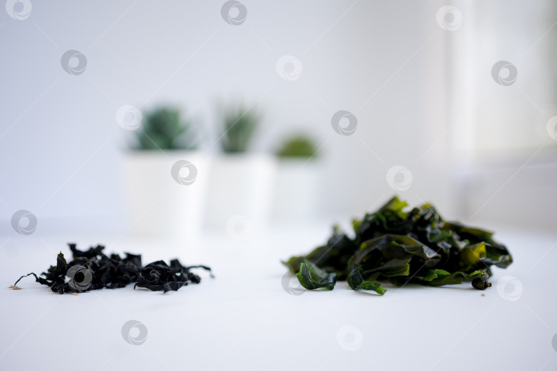 Скачать сушеные водоросли на белом фоне. сушеная морская капуста ламинария или бурые водоросли ламинариум.конбу, водоросли вакаме. крупный план фотосток Ozero