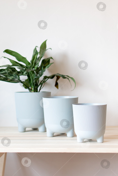 Скачать серые цветочные горшки на столе на белом фоне фотосток Ozero
