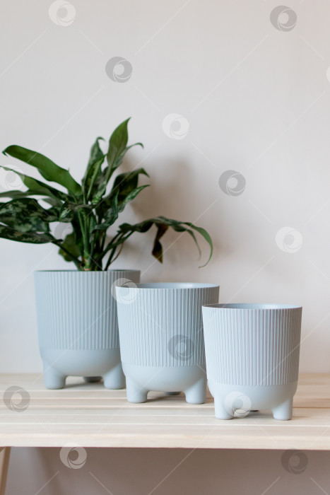 Скачать серые цветочные горшки на столе на белом фоне фотосток Ozero