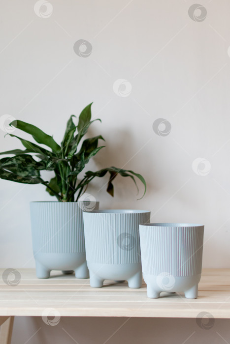 Скачать серые цветочные горшки на столе на белом фоне фотосток Ozero