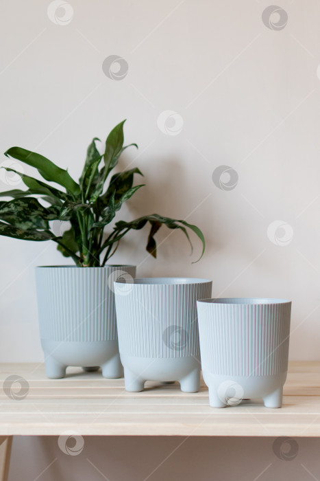 Скачать серые цветочные горшки на столе на белом фоне фотосток Ozero
