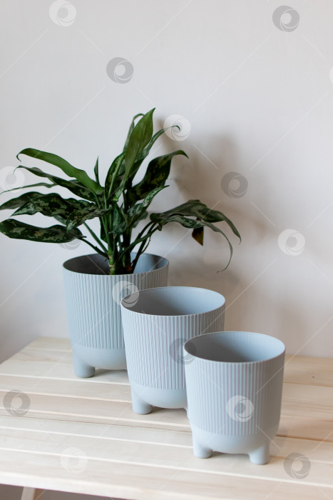 Скачать серые цветочные горшки на столе на белом фоне фотосток Ozero