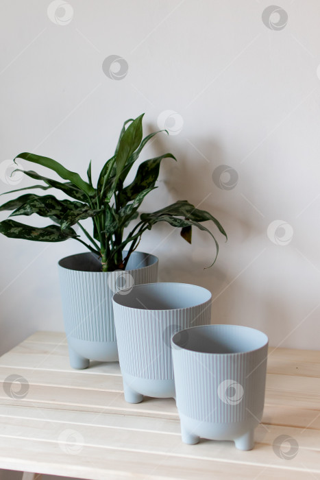 Скачать серые цветочные горшки на столе на белом фоне фотосток Ozero
