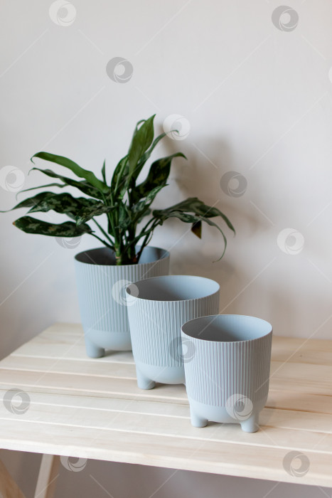 Скачать серые цветочные горшки на столе на белом фоне фотосток Ozero