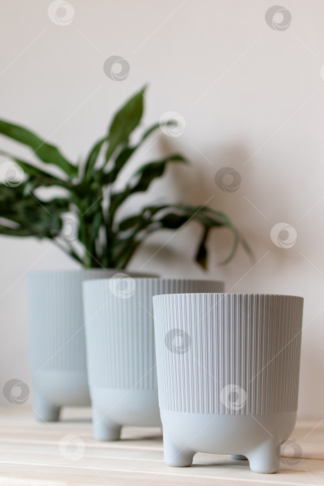 Скачать серые цветочные горшки на столе на белом фоне фотосток Ozero
