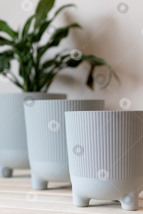 Скачать серые цветочные горшки на столе на белом фоне фотосток Ozero