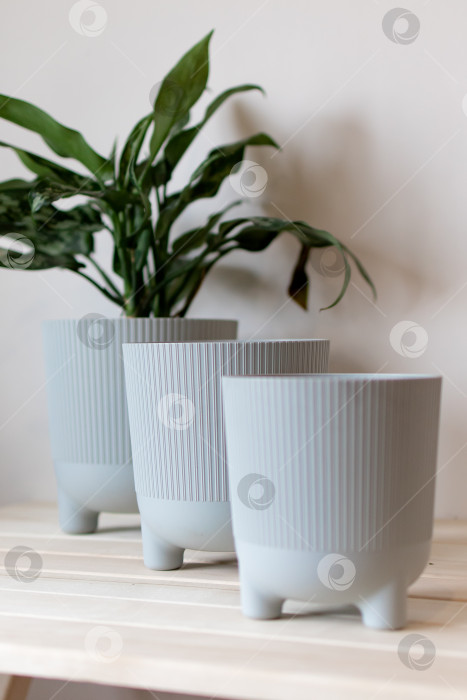 Скачать серые цветочные горшки на столе на белом фоне фотосток Ozero