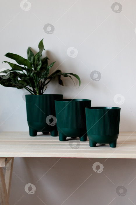 Скачать Темно-зеленые цветочные горшки на столе на белом фоне фотосток Ozero