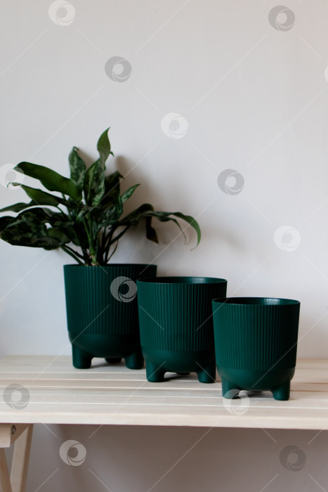 Скачать Темно-зеленые цветочные горшки на столе на белом фоне фотосток Ozero