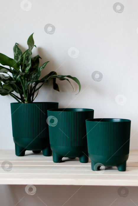Скачать Темно-зеленые цветочные горшки на столе на белом фоне фотосток Ozero