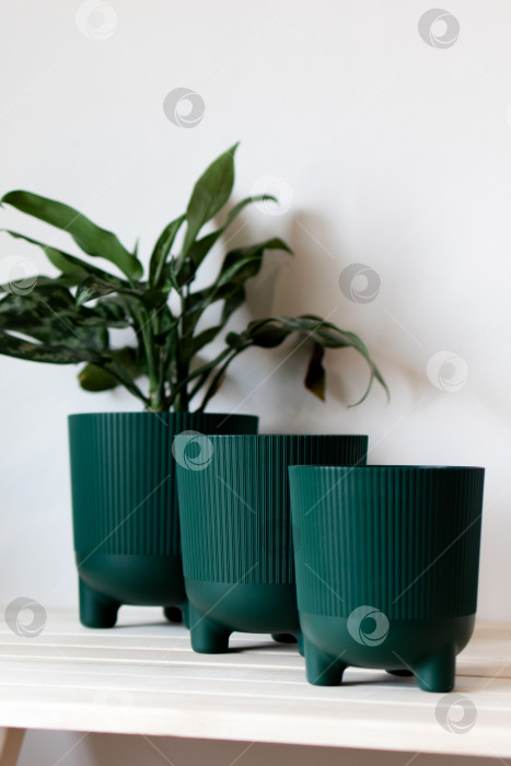Скачать Темно-зеленые цветочные горшки на столе на белом фоне фотосток Ozero