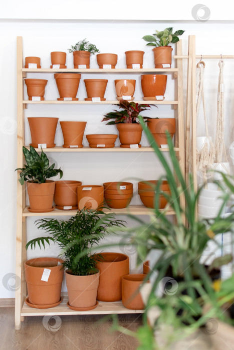 Скачать на деревянном стеллаже стоит витрина с глиняными горшками фотосток Ozero