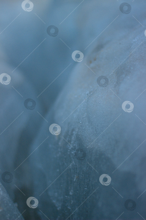 Скачать Крупный план синих льдин фотосток Ozero