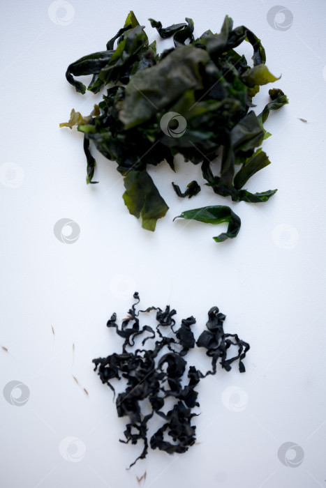 Скачать сушеные водоросли на белом фоне. сушеная морская капуста ламинария или бурые водоросли ламинариум.конбу, водоросли вакаме. крупный план фотосток Ozero