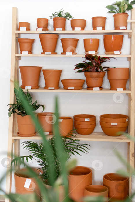 Скачать на деревянном стеллаже стоит витрина с глиняными горшками фотосток Ozero