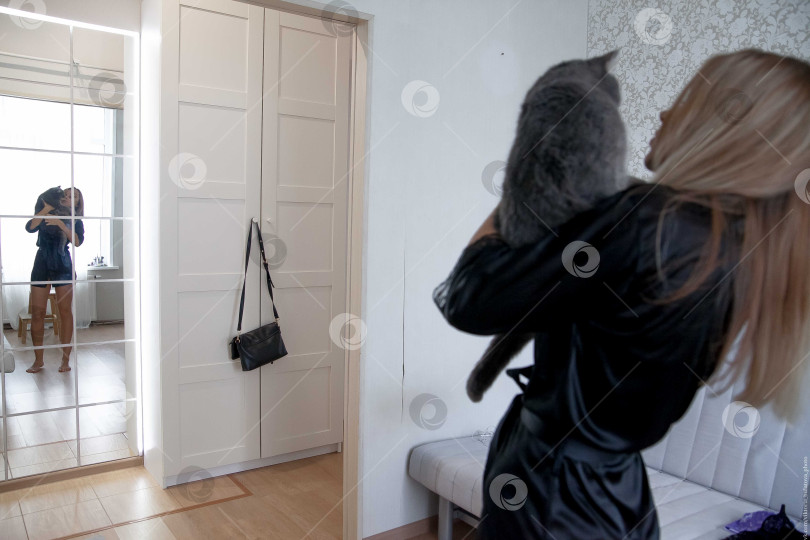 Скачать предметы интерьера. Женщина держит на руках кошку фотосток Ozero