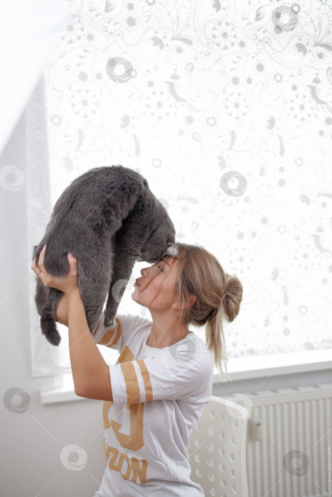 Скачать Женщина и кошка лежат на кровати на белом покрывале фотосток Ozero