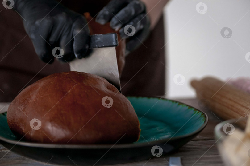 Скачать Сырое пасхальное печенье и формочки для печенья на бумаге для выпечки, вид сверху. Фотографии высокого качества. руки кондитера в перчатках фотосток Ozero