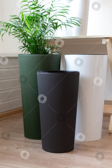 Скачать Большие напольные кашпо с цветами. Домашний интерьер фотосток Ozero