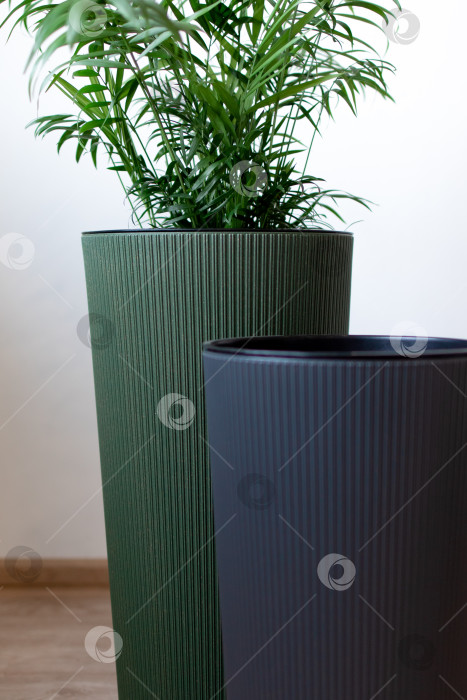 Скачать Большие напольные кашпо с цветами. Домашний интерьер фотосток Ozero