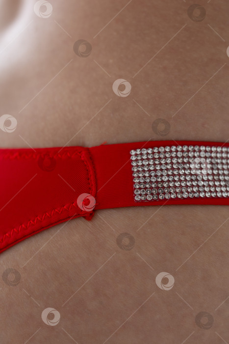 Скачать На модели красные женские трусы. тело молодой женщины в красных трусиках-стрингах фотосток Ozero