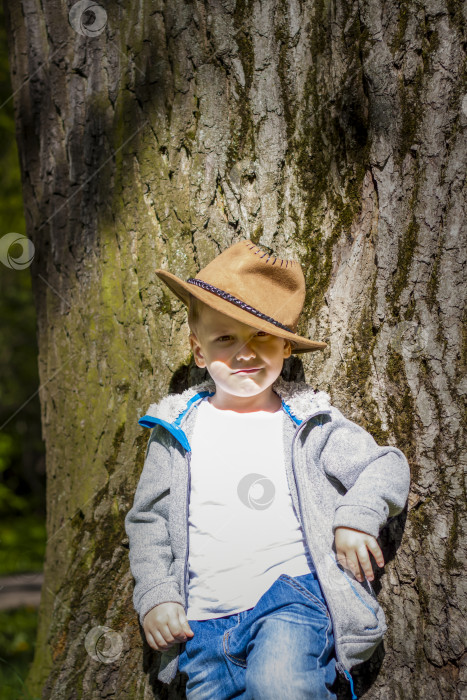 Скачать Милый мальчик позирует в ковбойской шляпе в лесу у дерева. Солнечные лучи окутывают пространство. История взаимодействия для книги. Пространство для копирования фотосток Ozero