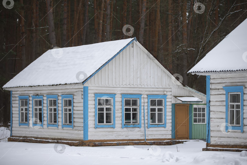 Скачать Старый деревянный дом, выкрашенный белой краской, в зимнем лесу. фотосток Ozero