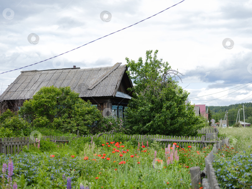 Скачать старый деревянный деревенский дом в летний день фотосток Ozero