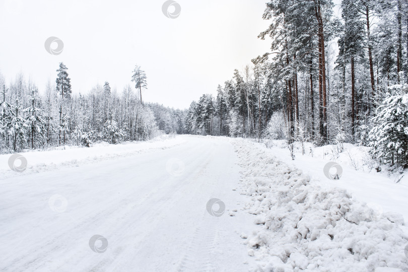 Скачать Дорога через зимний лес. фотосток Ozero