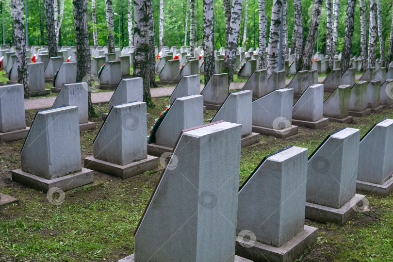 Скачать старое мемориальное военное кладбище с надгробными плитами фотосток Ozero