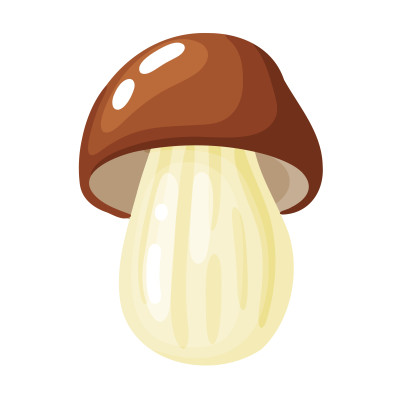 [object Object] undefined