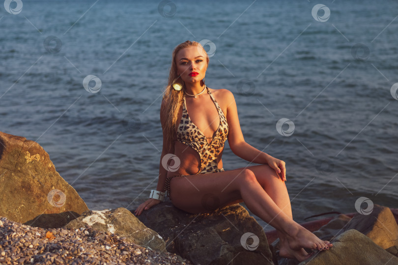 Скачать Женщина в бикини с леопардовым принтом сидит на камне у воды фотосток Ozero