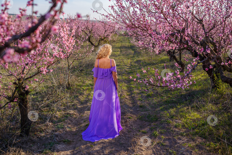 Скачать Женщина идет по полю розовых цветов фотосток Ozero